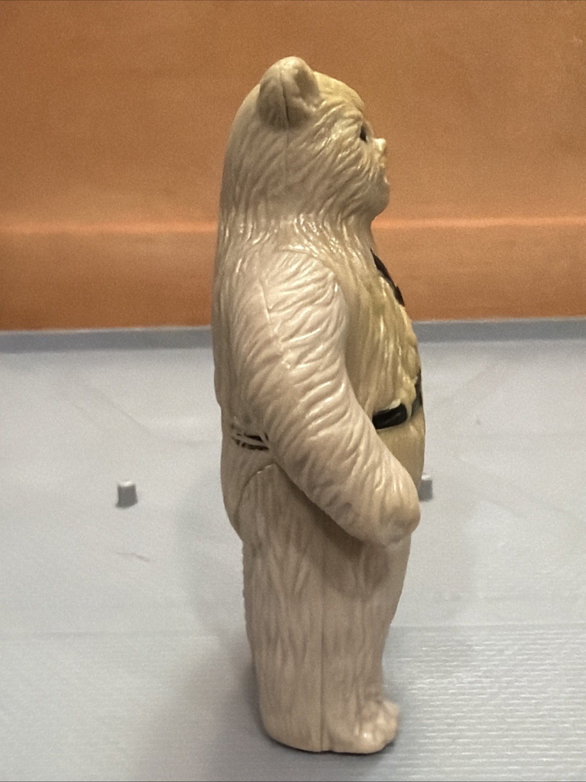 Chief Chirpa sold