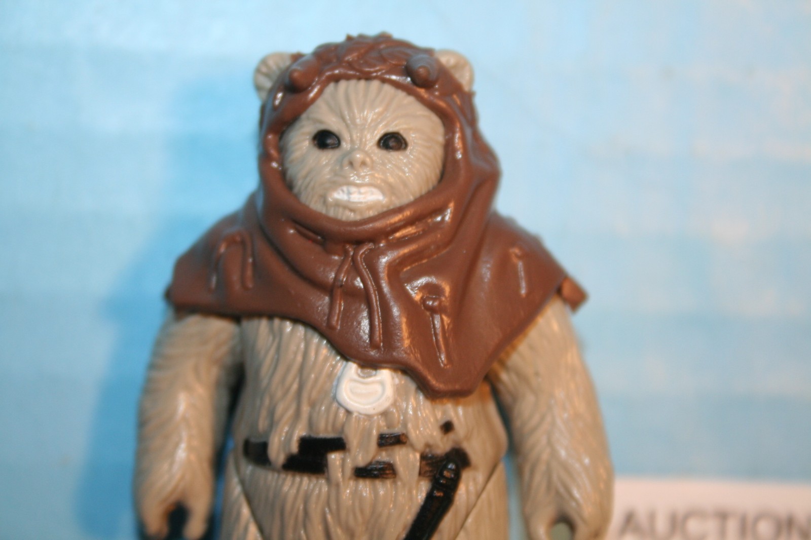 Chief Chirpa sold
