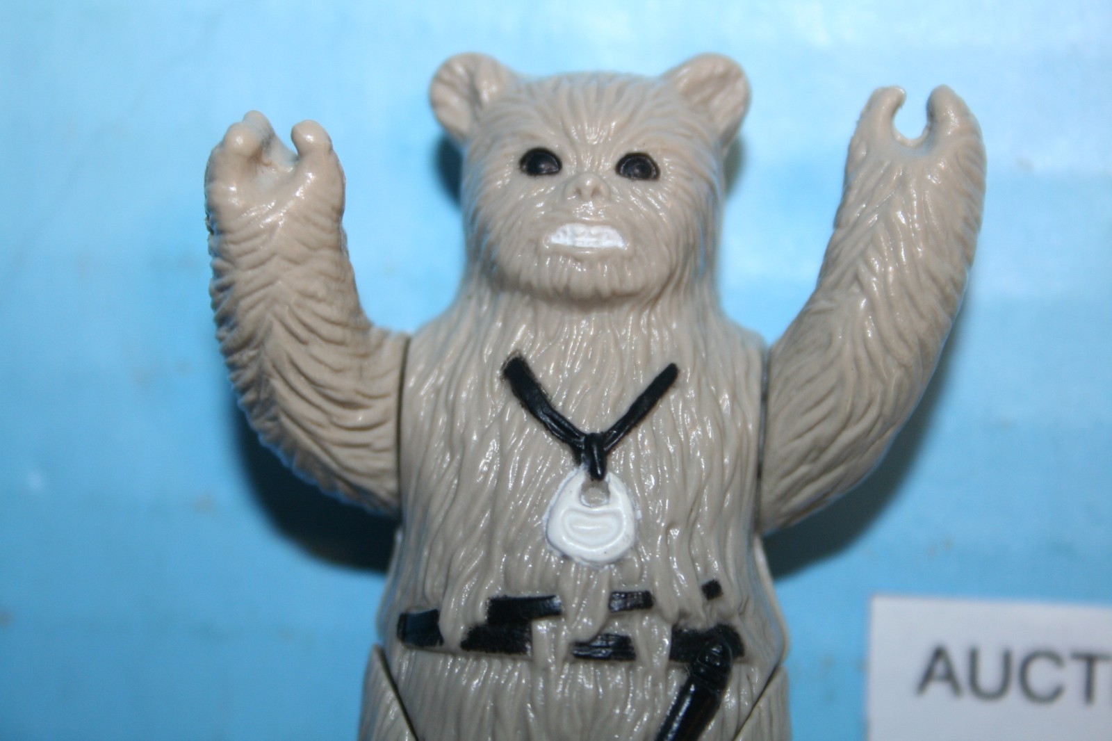 Chief Chirpa sold