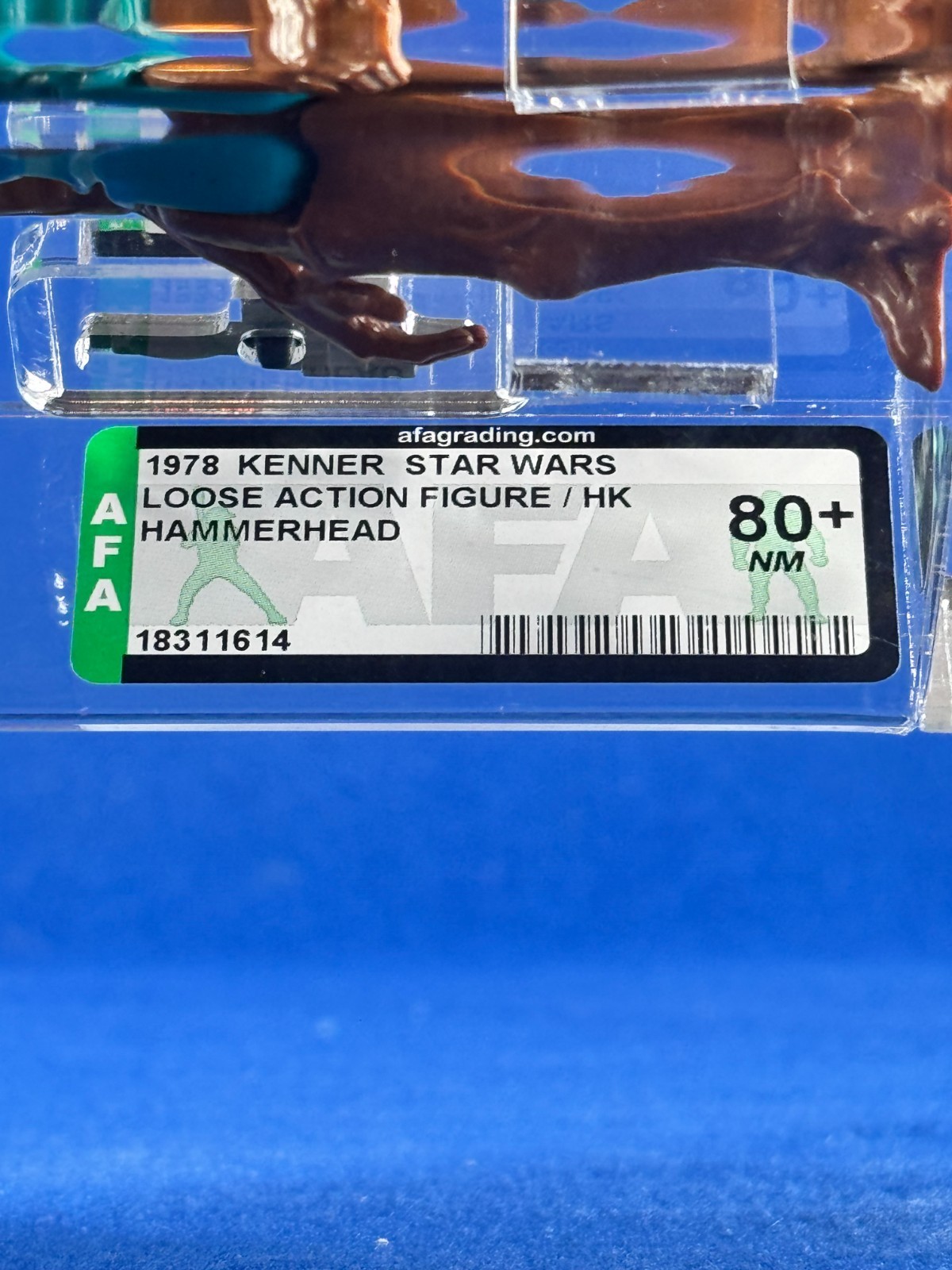 Hammerhead sold