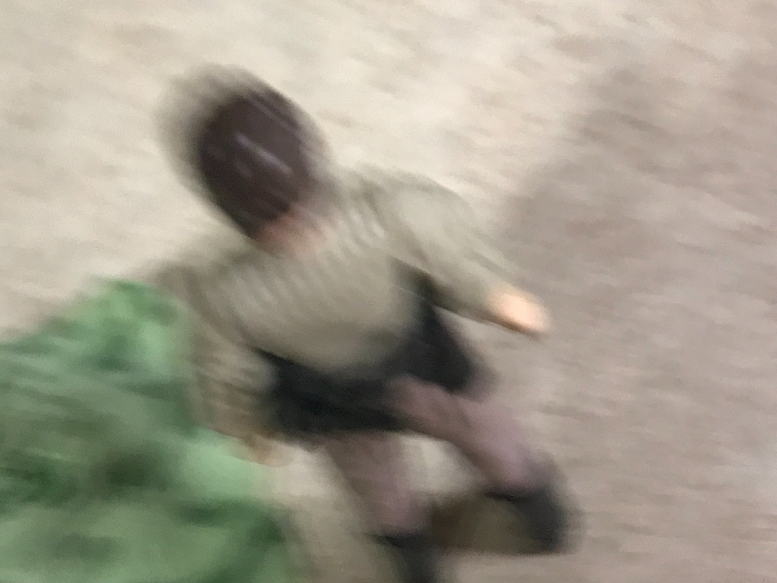 Princess Leia Organa (In Combat Poncho) sold