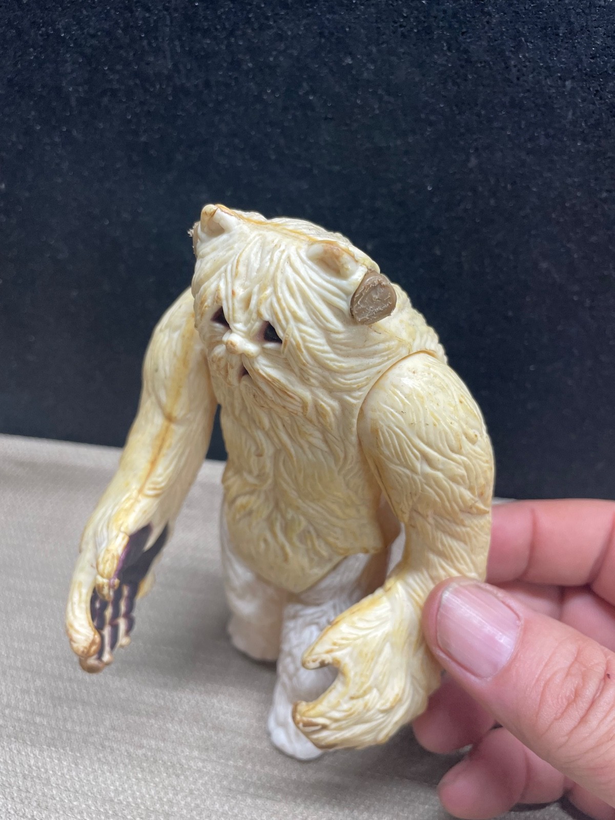Wampa sold