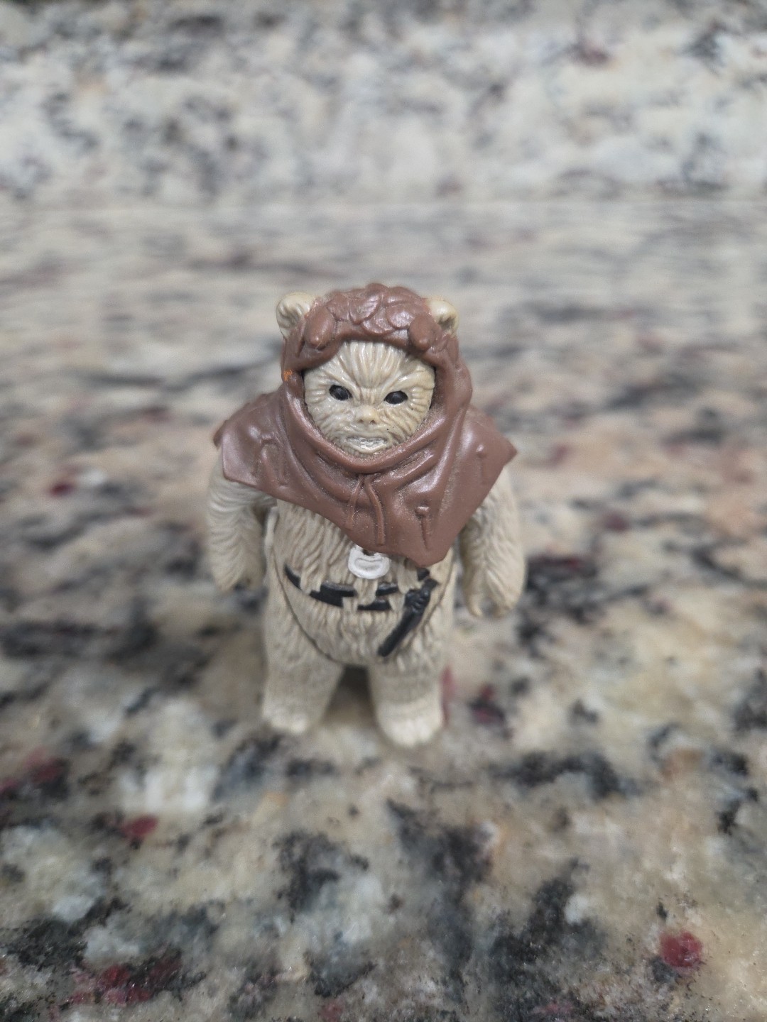 Chief Chirpa sold