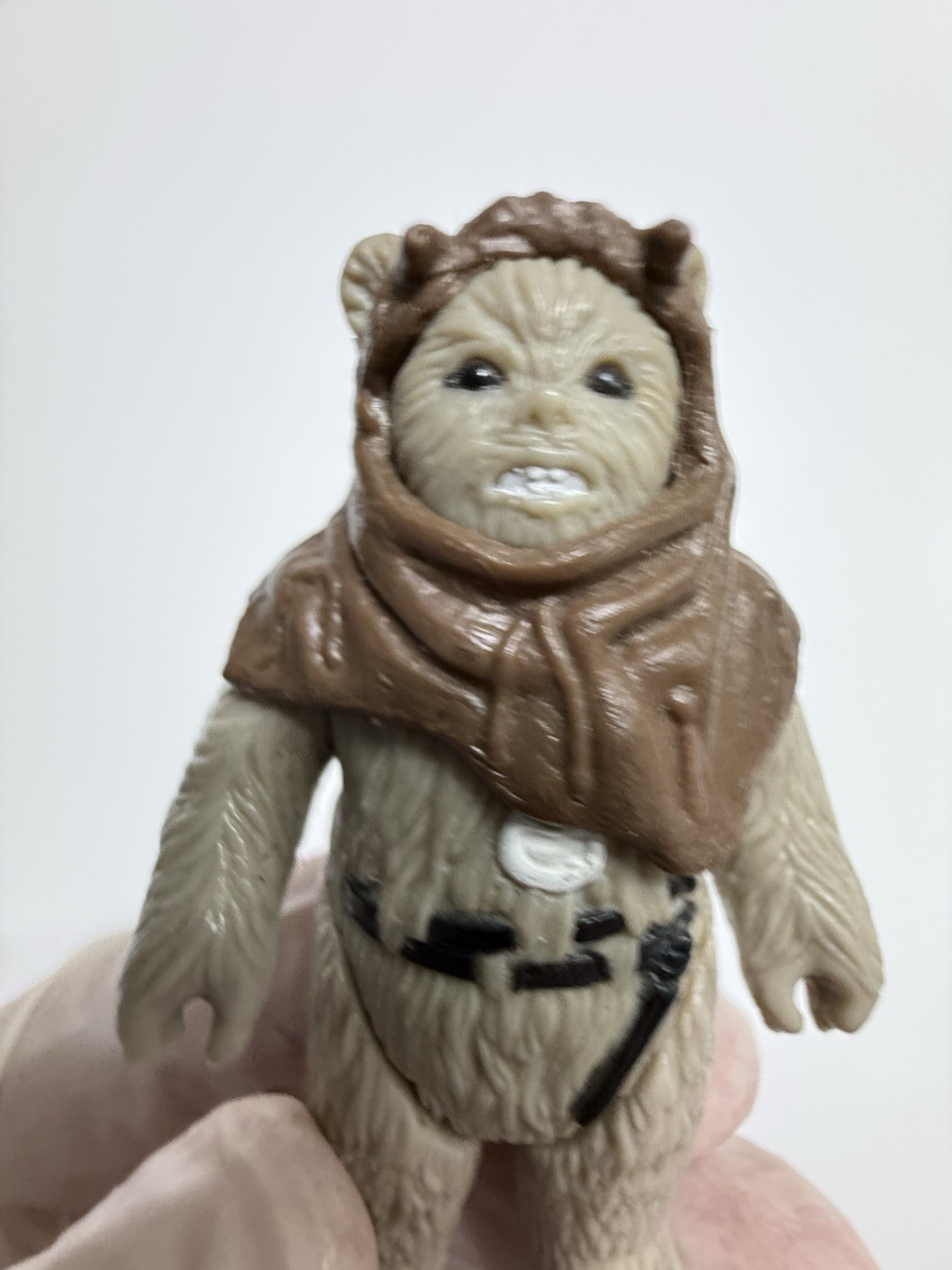 Chief Chirpa sold