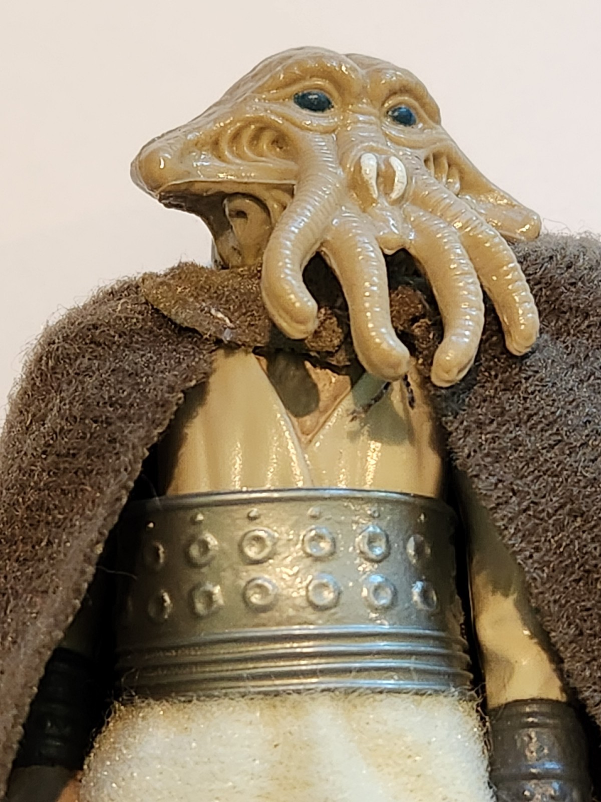Squid Head sold