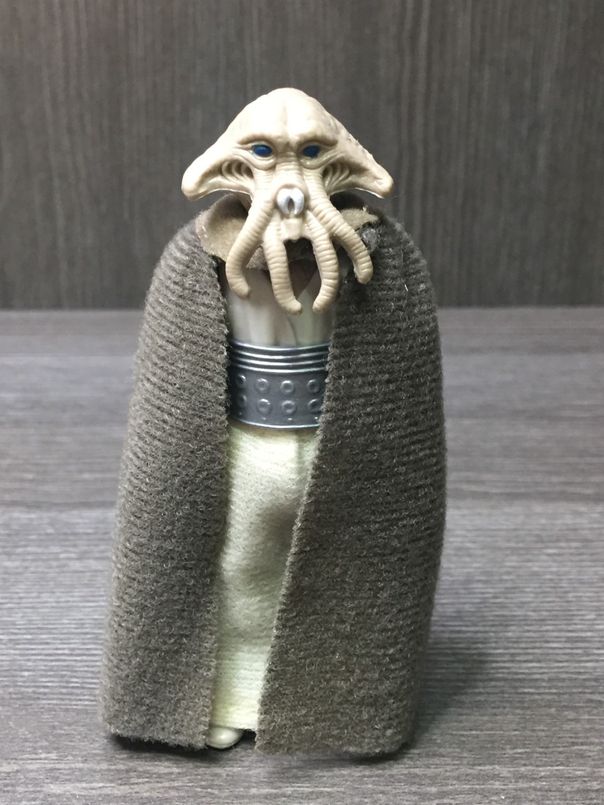 Squid Head sold