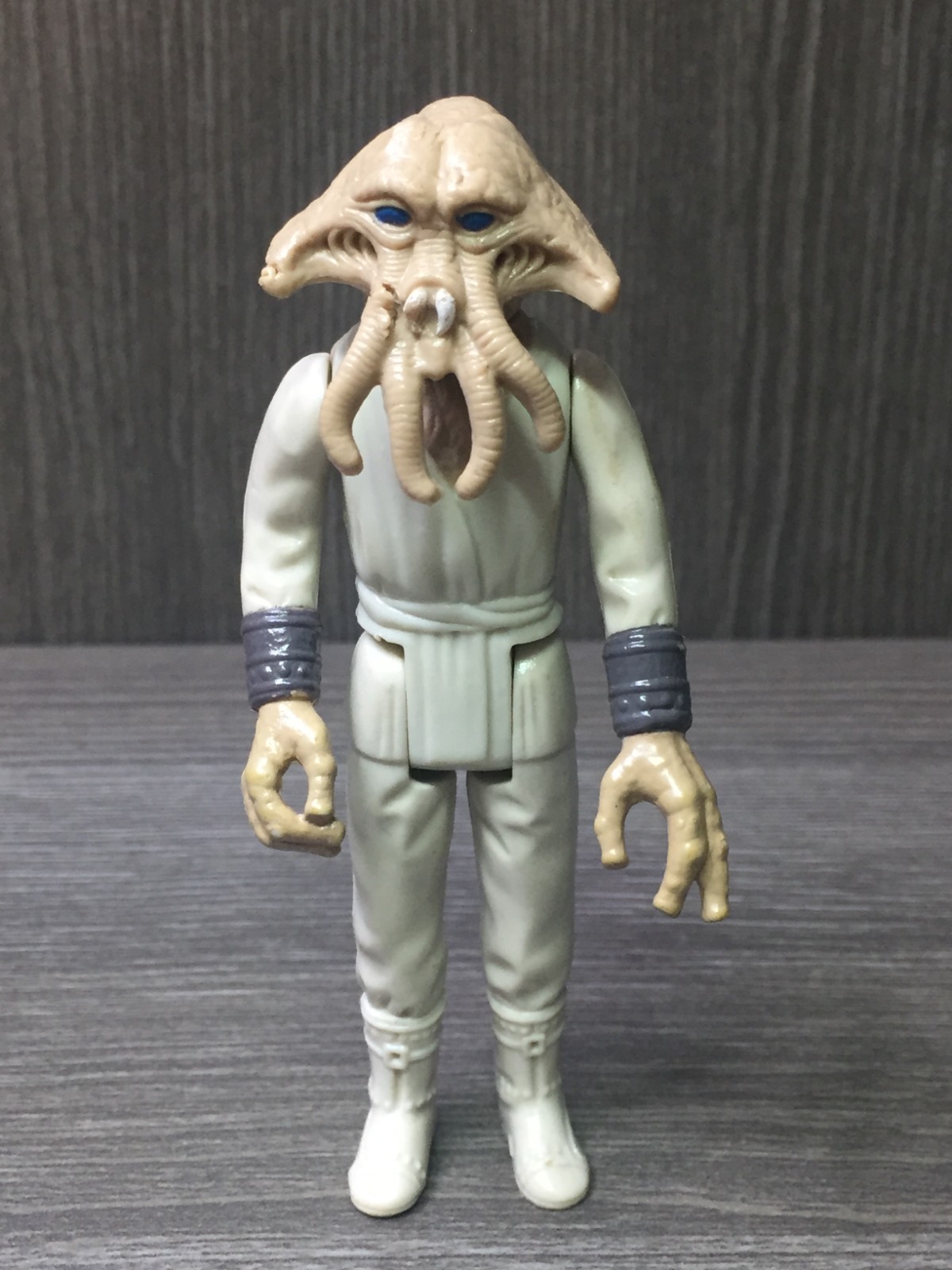 Squid Head sold