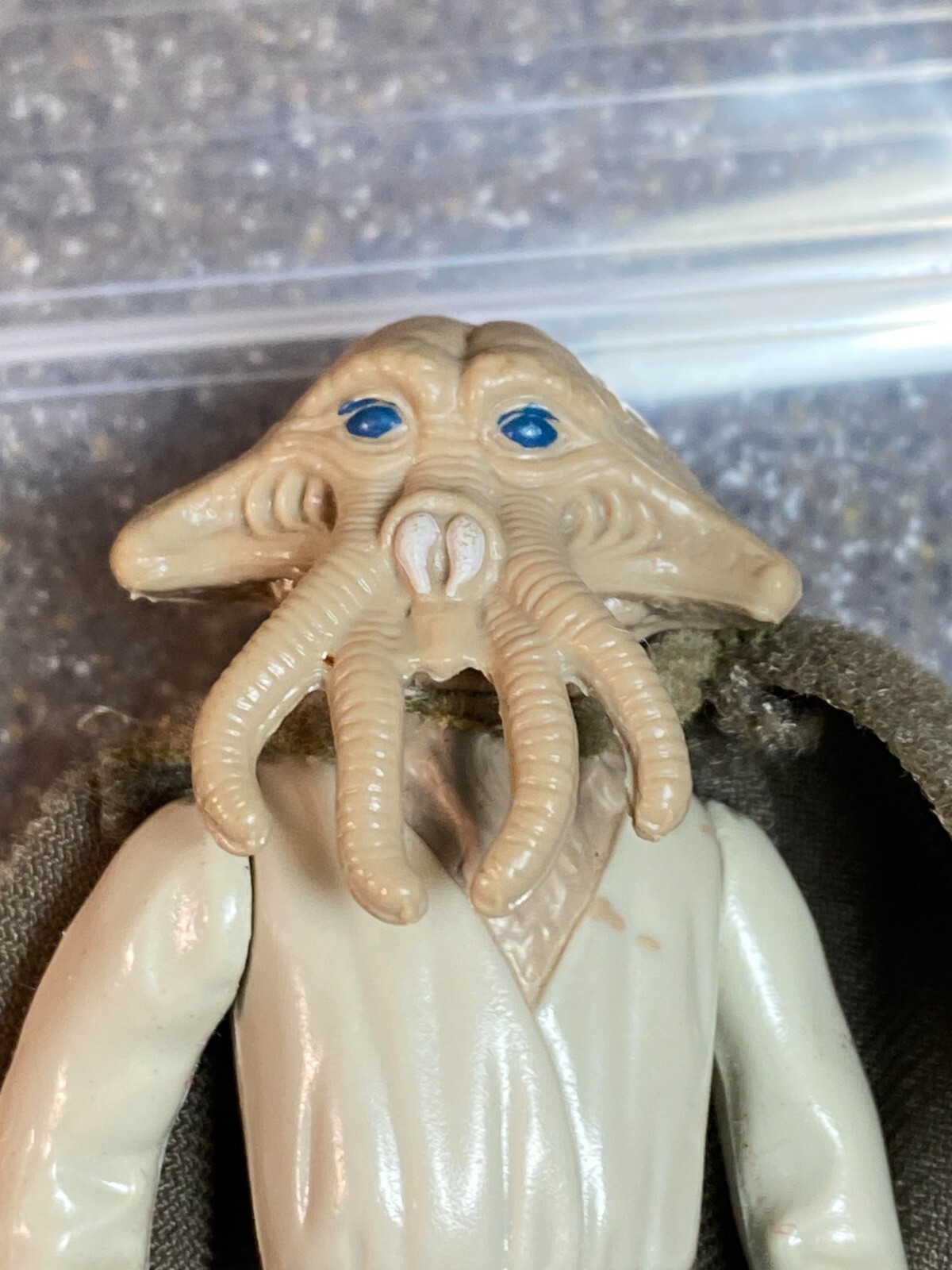 Squid Head sold