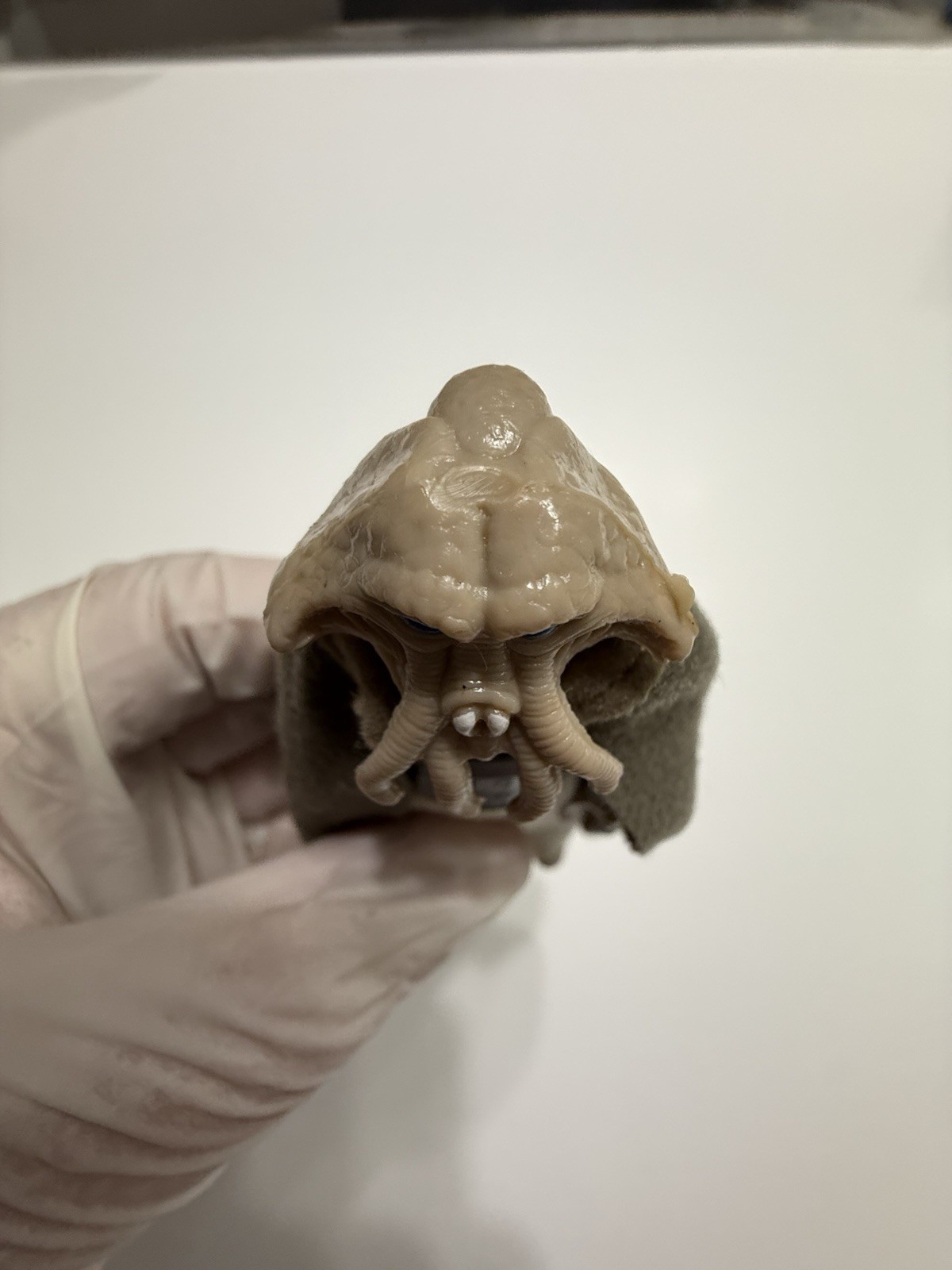 Squid Head sold