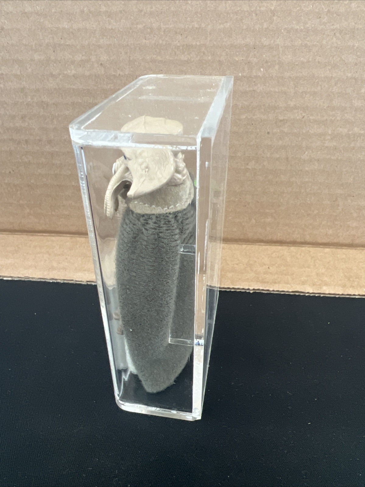 Squid Head sold