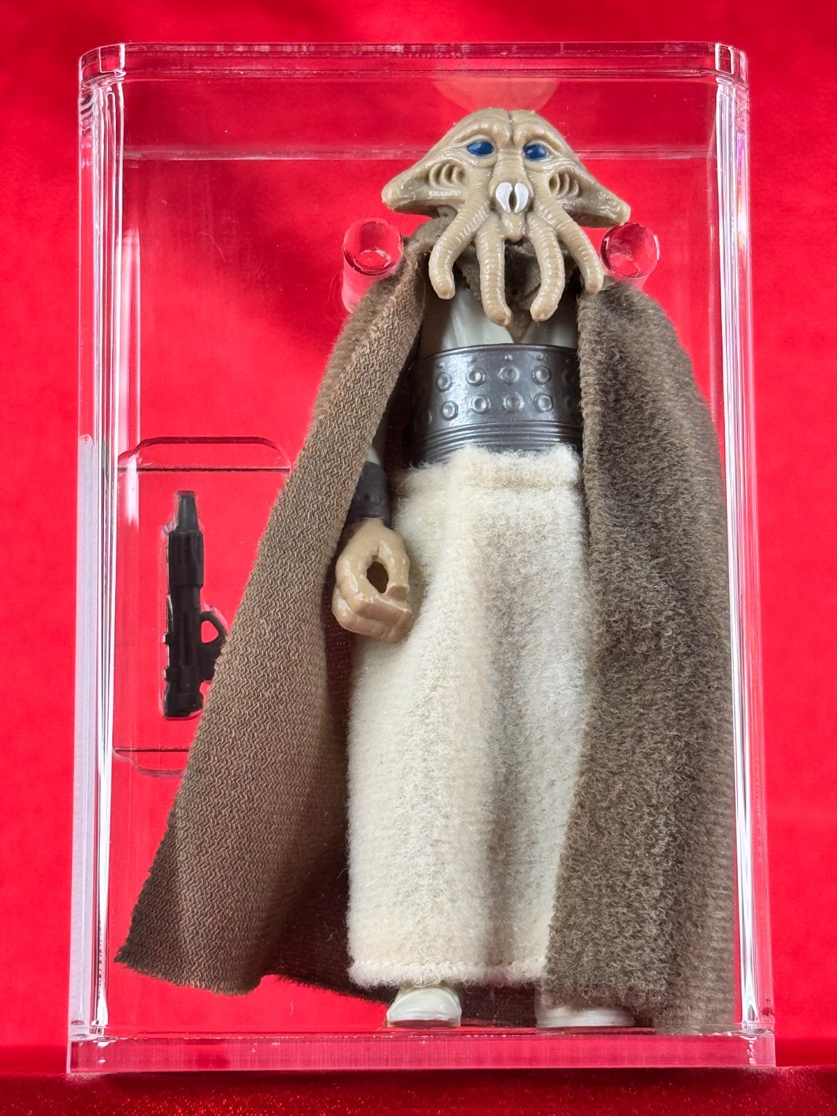 Squid Head sold