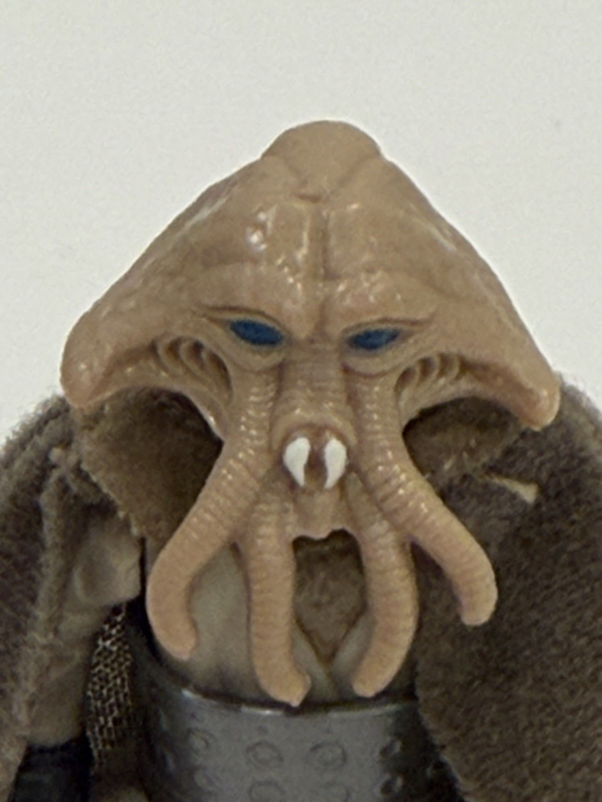 Squid Head sold