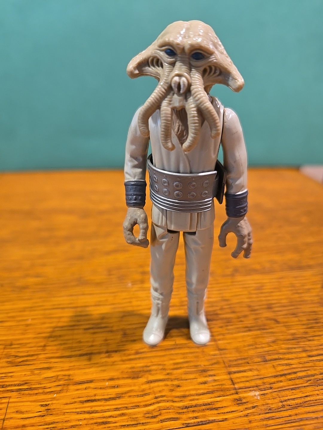 Squid Head sold