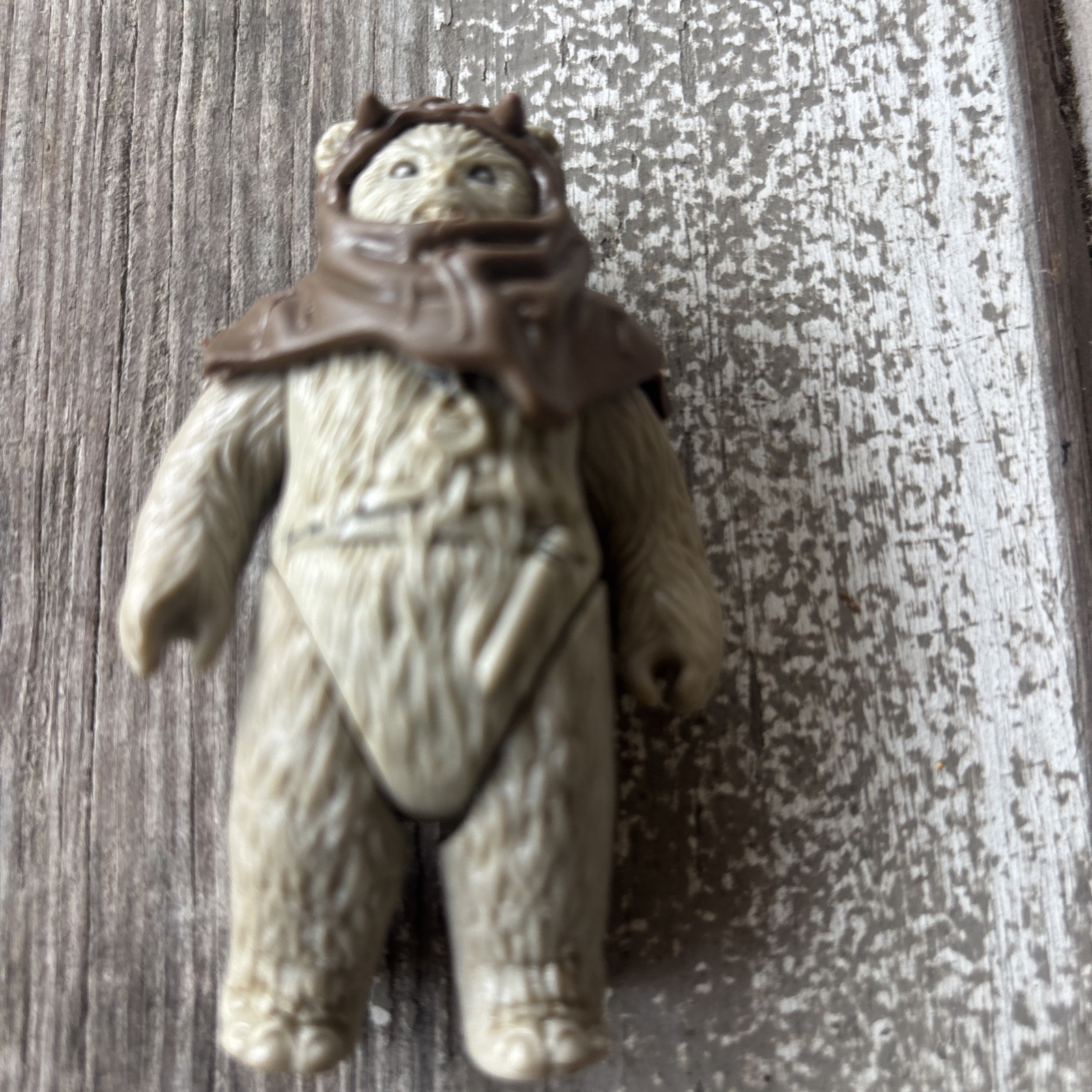 Chief Chirpa sold