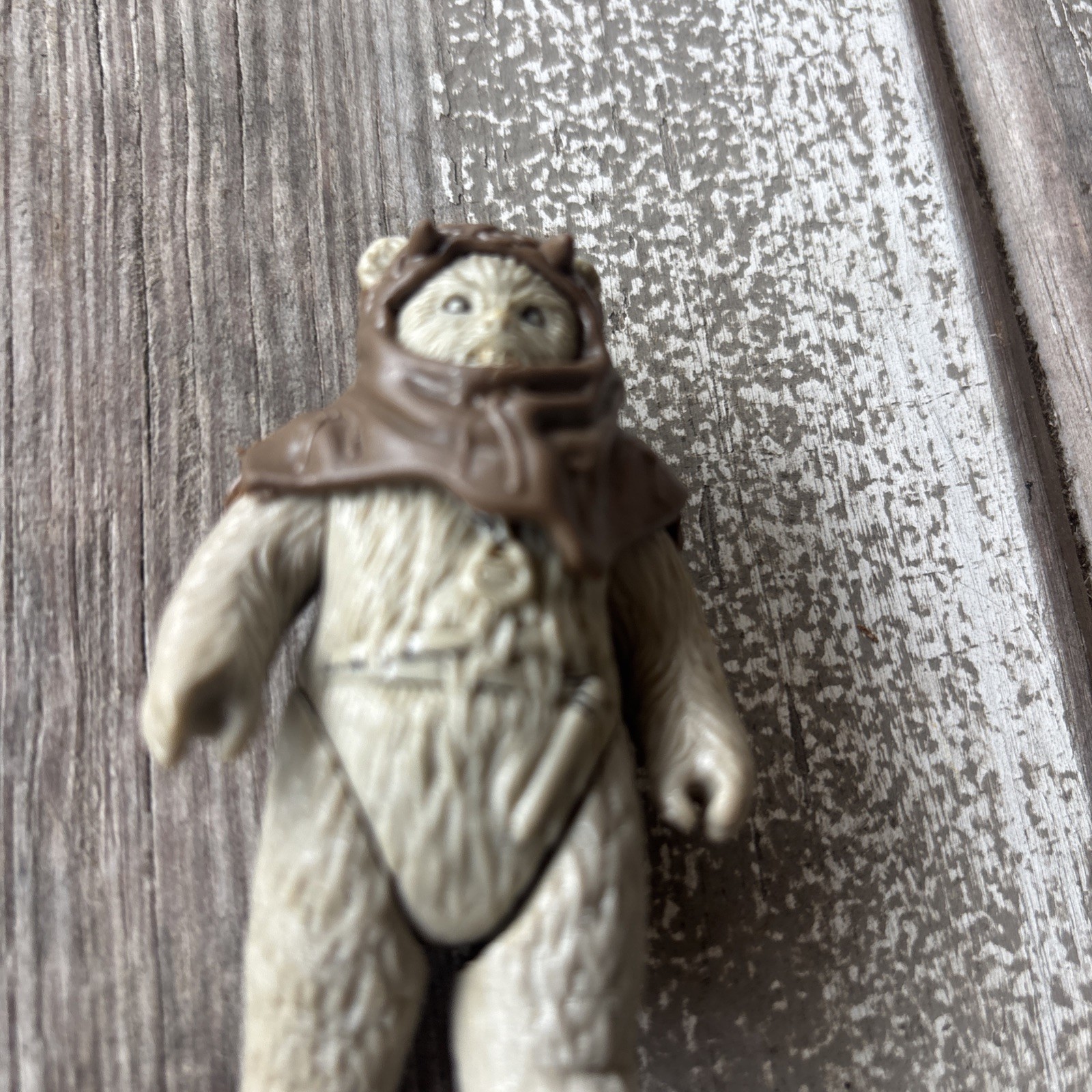 Chief Chirpa sold