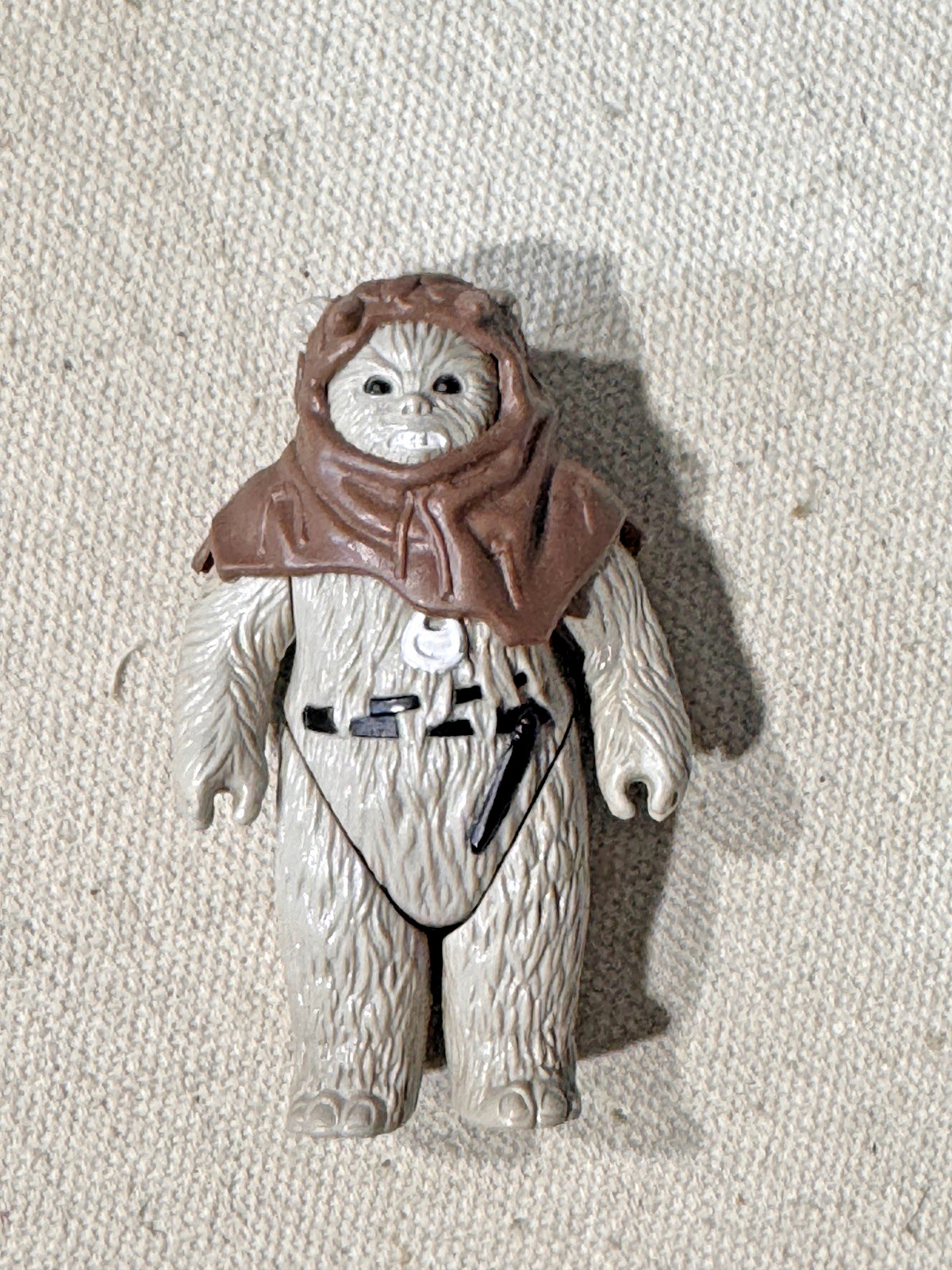 Chief Chirpa sold