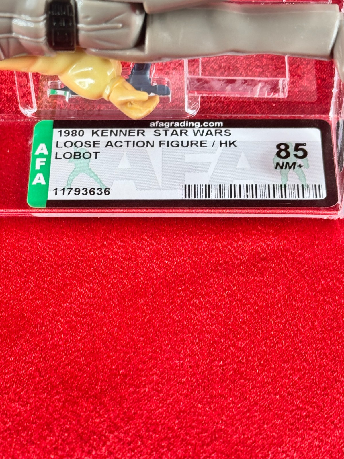 Lobot sold