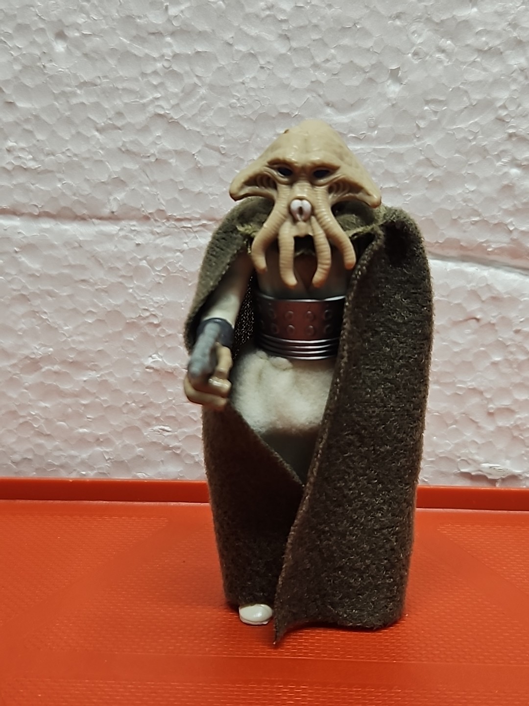 Squid Head sold
