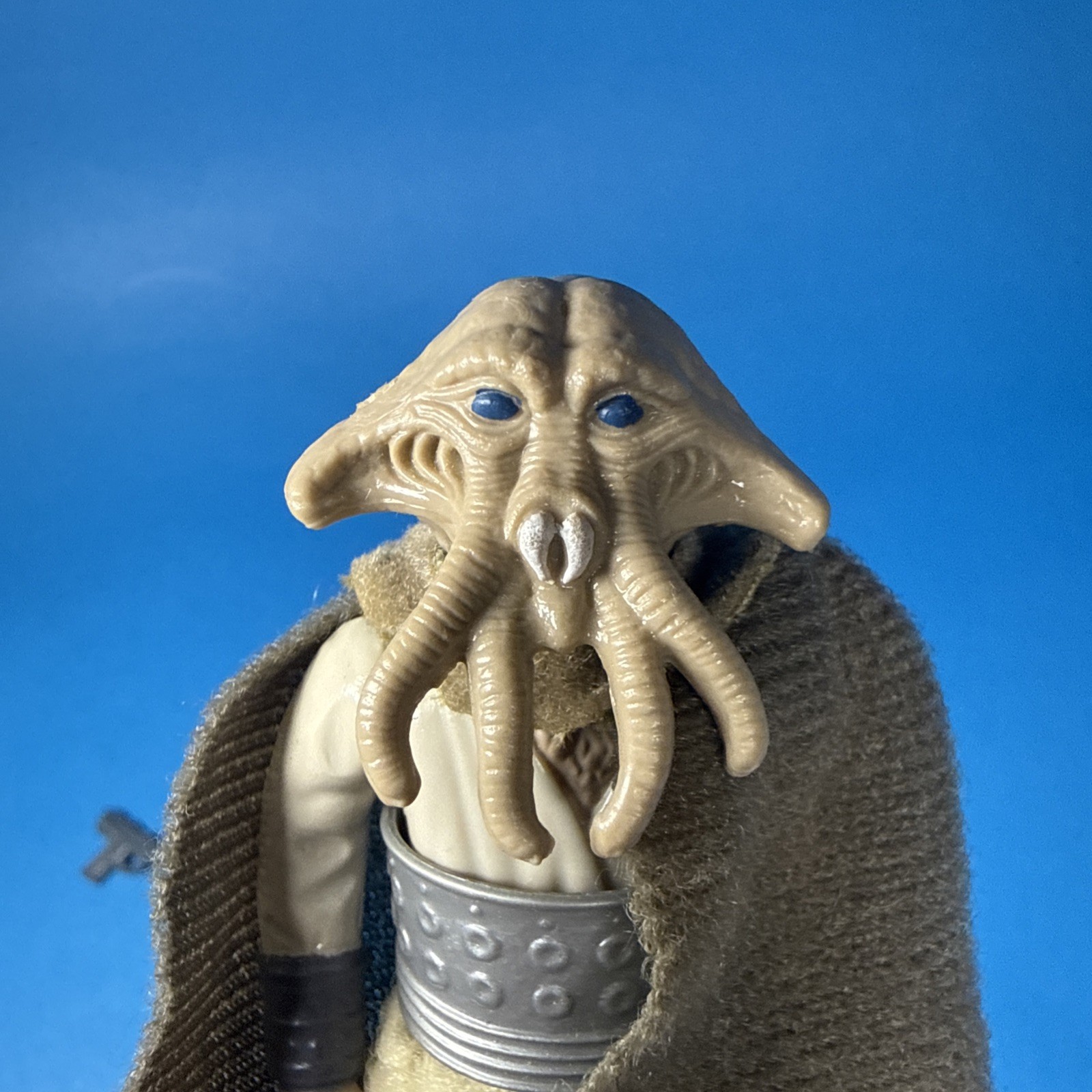 Squid Head sold