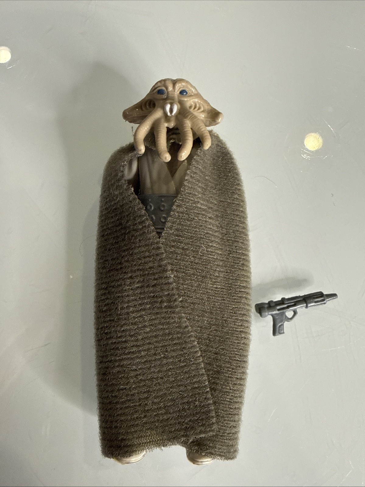 Squid Head sold