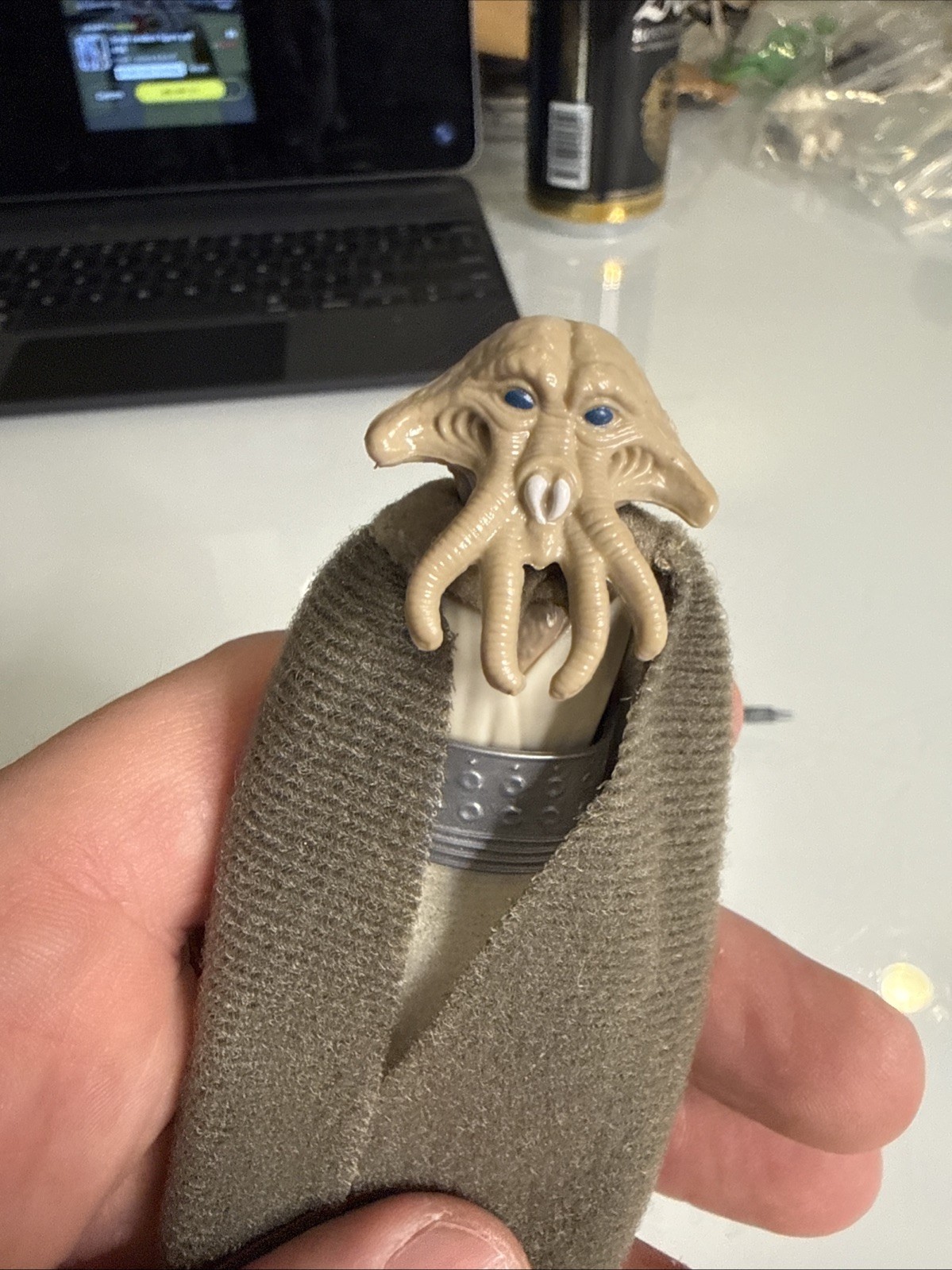 Squid Head sold