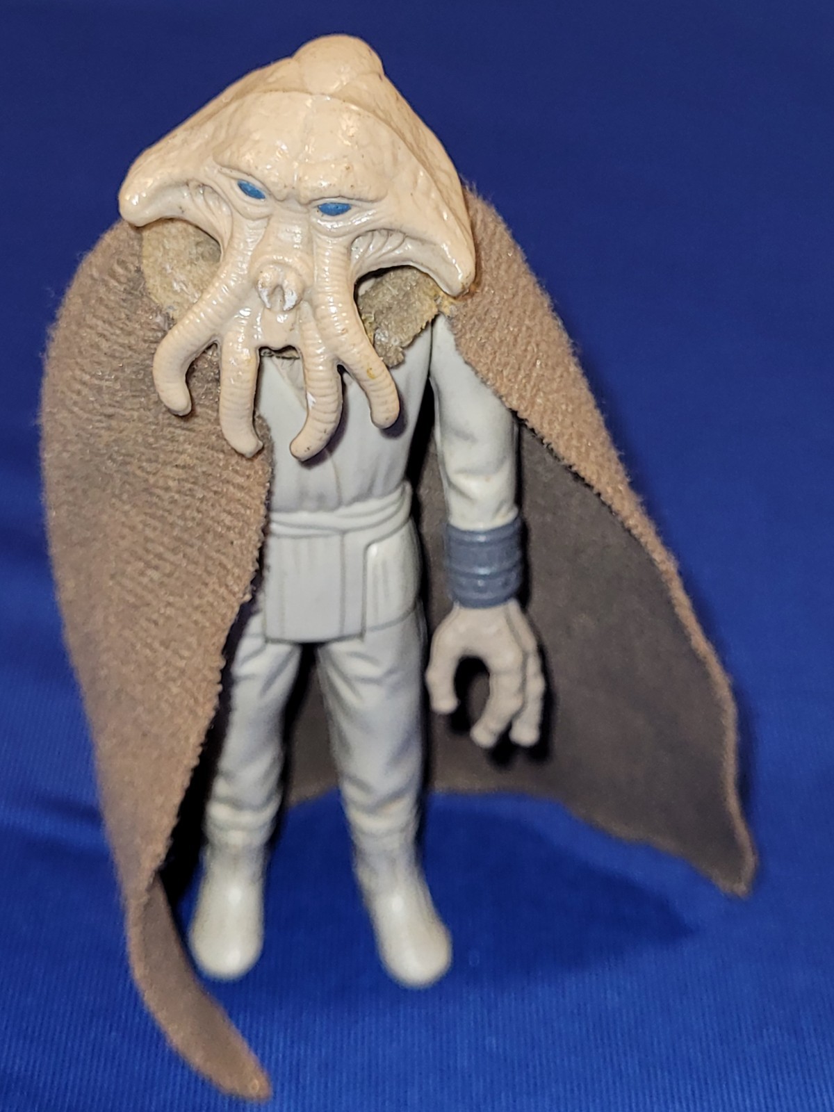 Squid Head sold