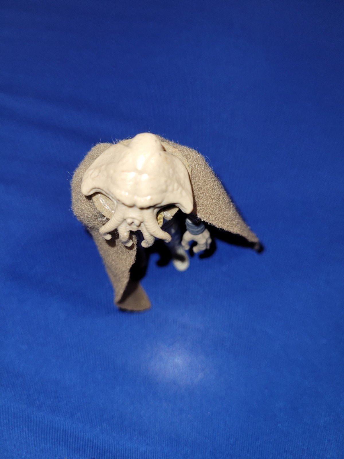 Squid Head sold