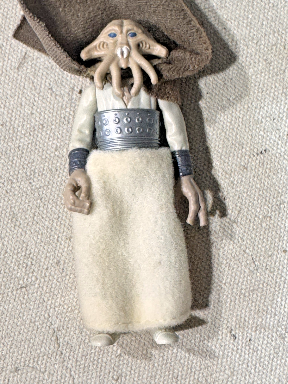 Squid Head sold