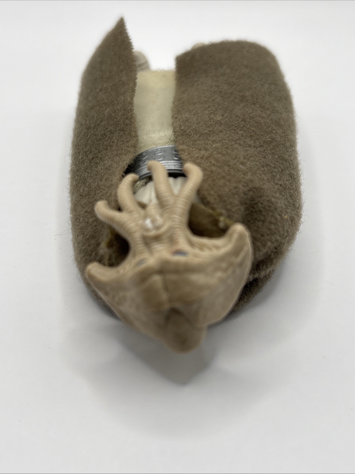Squid Head sold