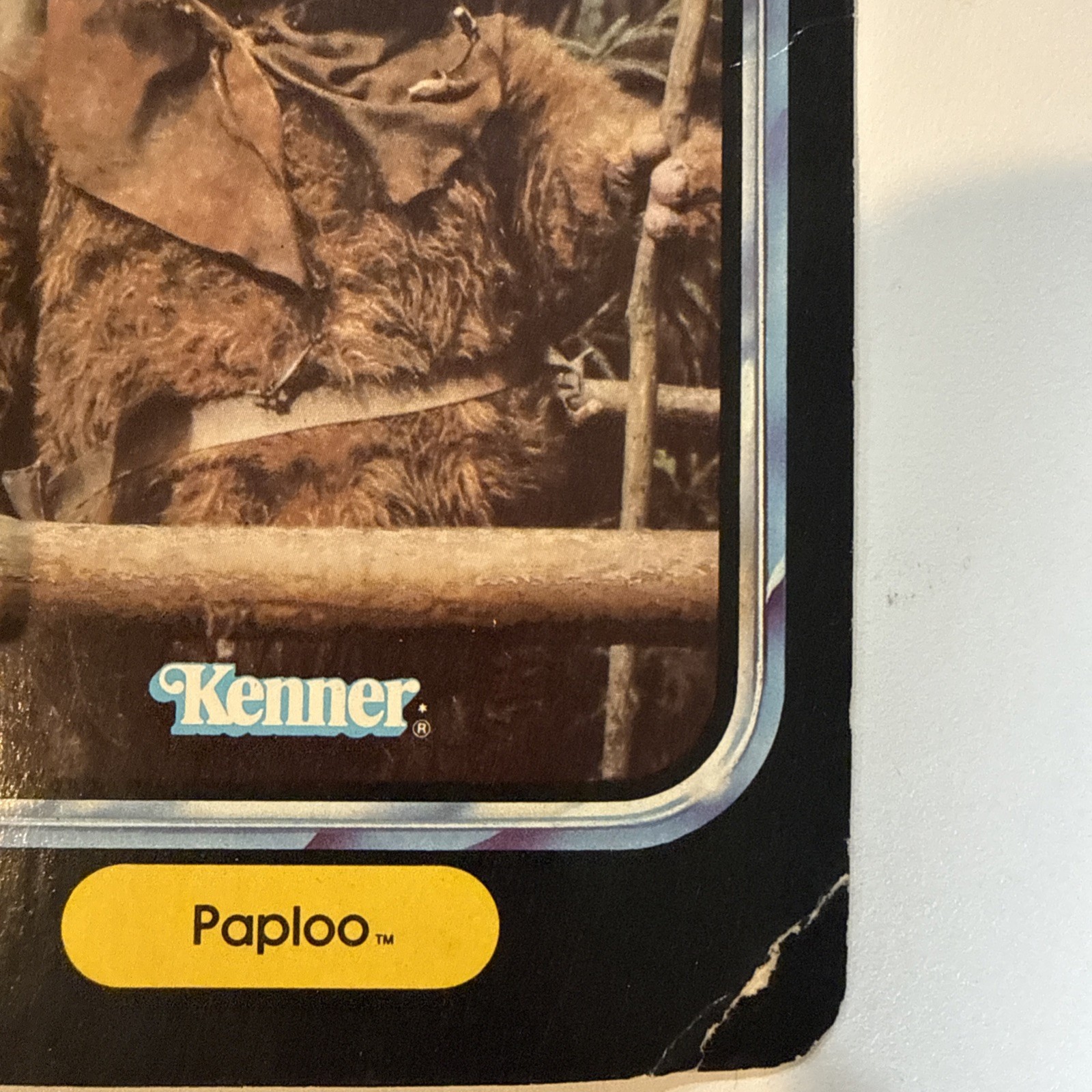 Paploo sold