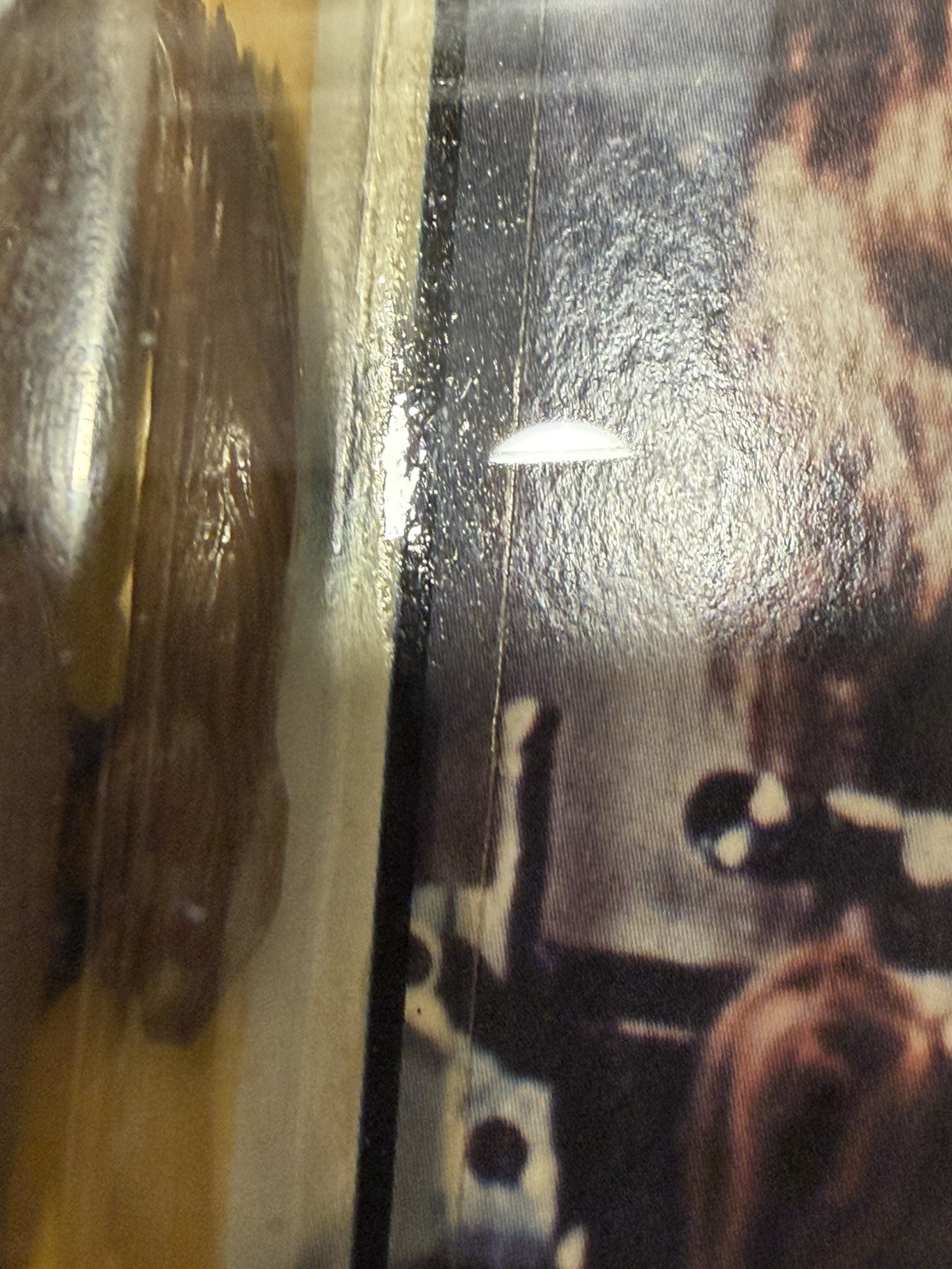 Chewbacca sold
