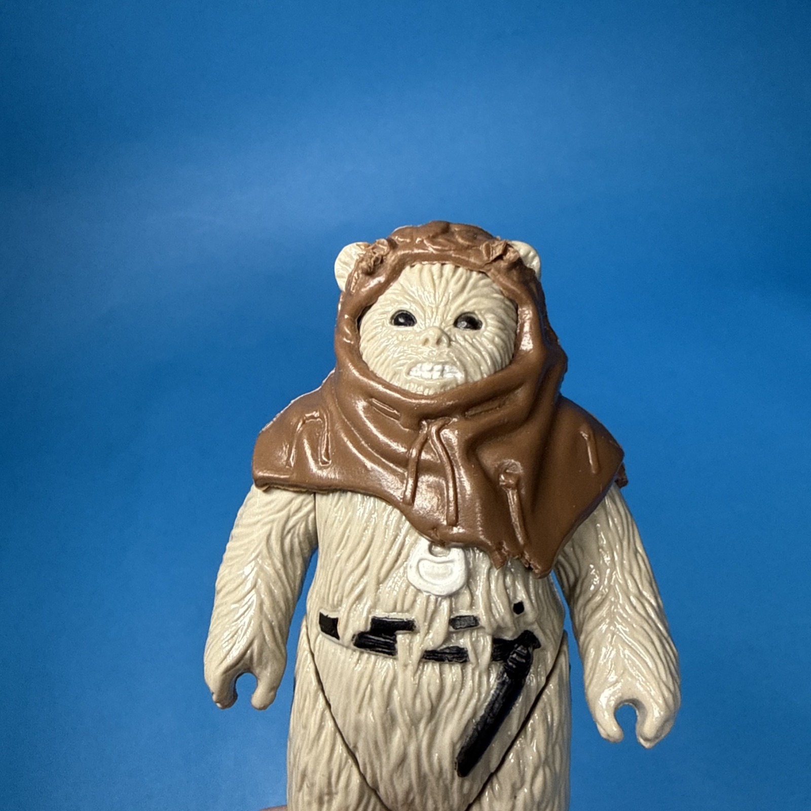 Chief Chirpa sold