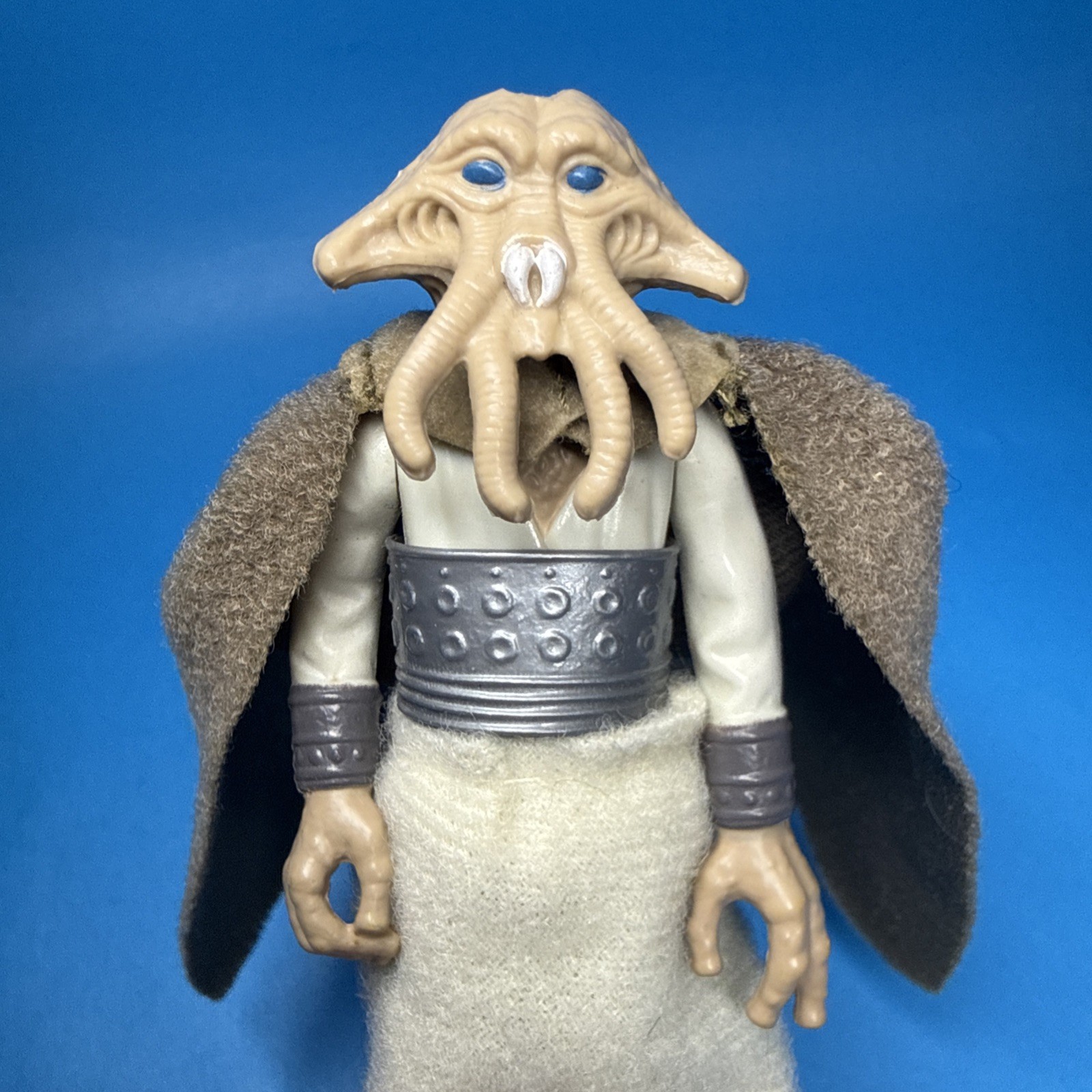 Squid Head sold