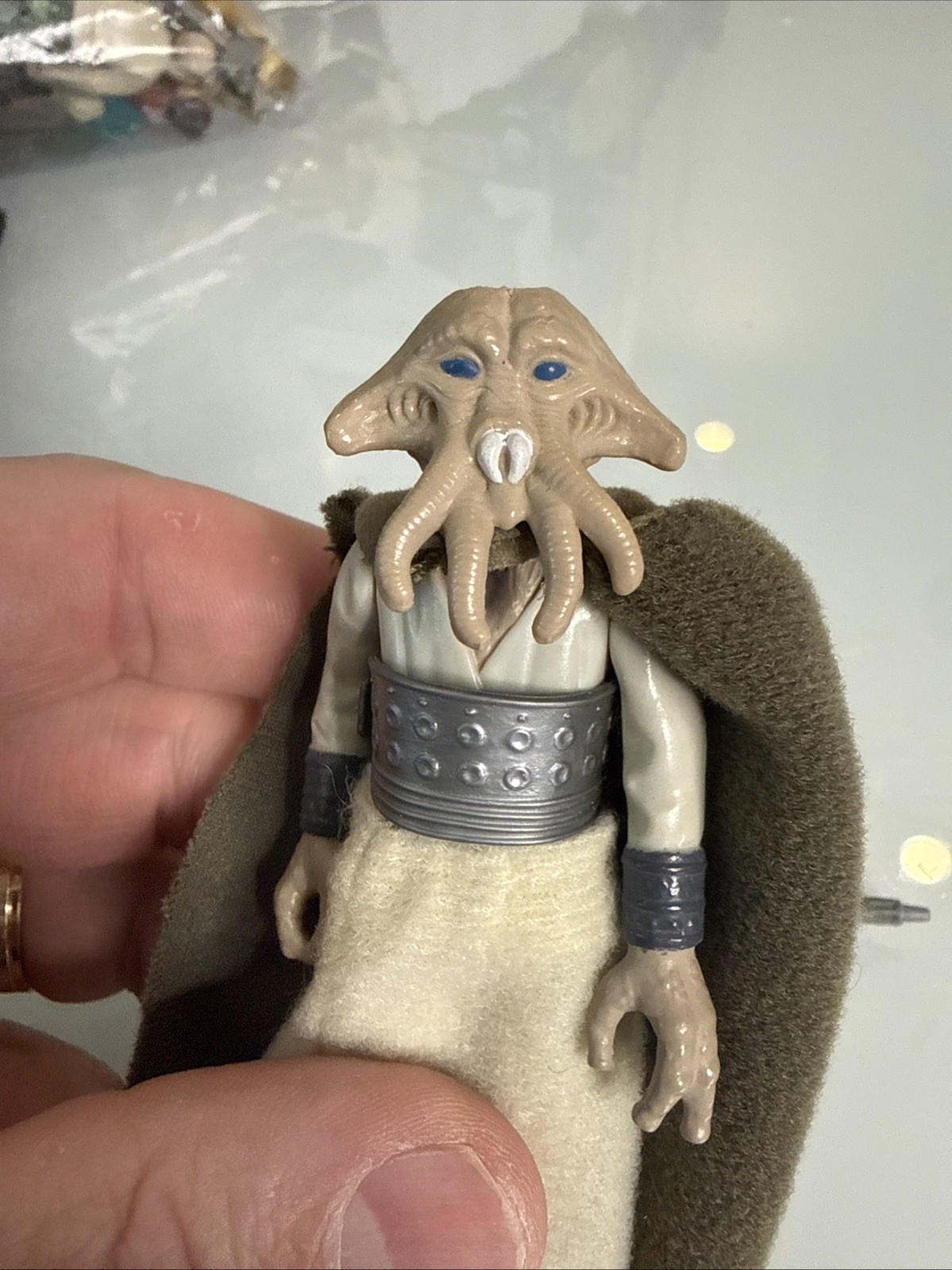 Squid Head sold