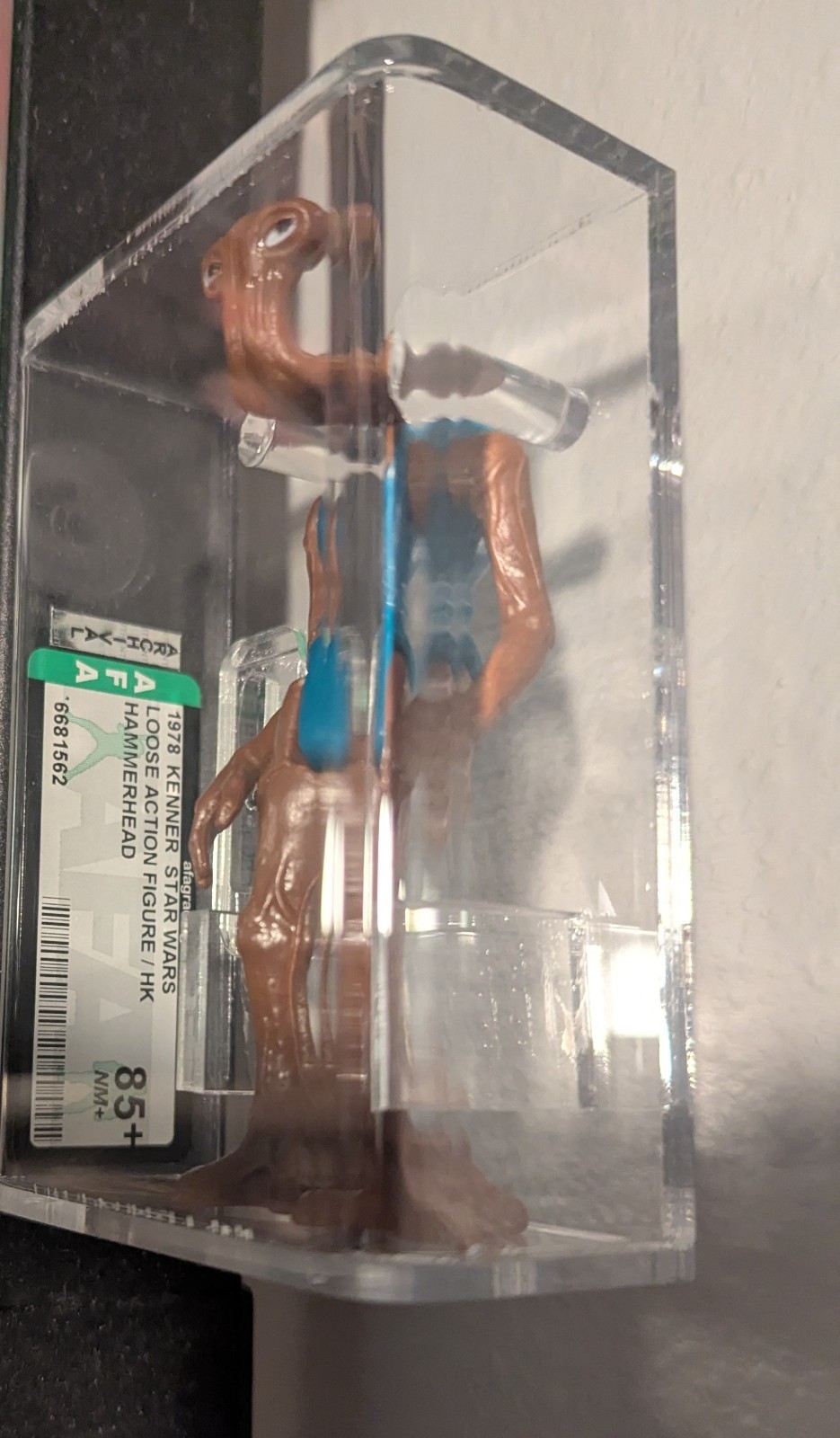 Hammerhead sold