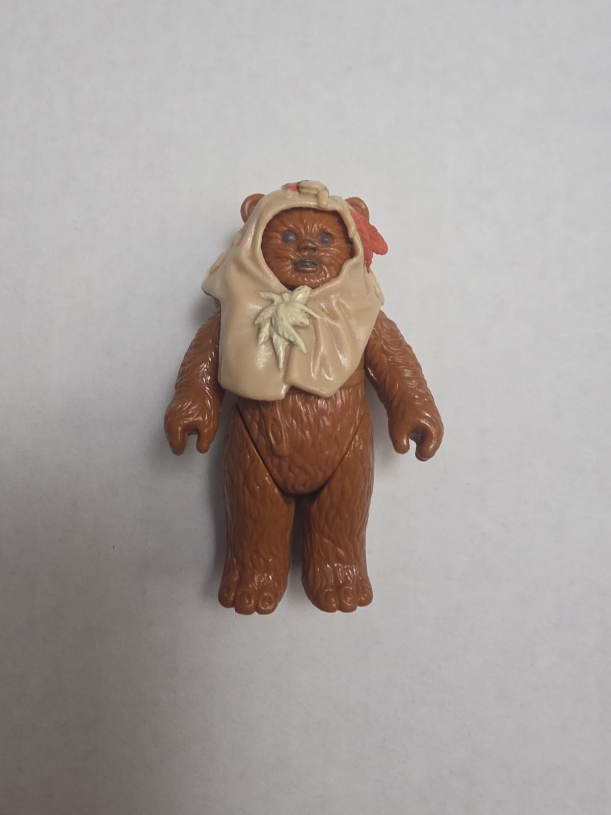 Paploo sold