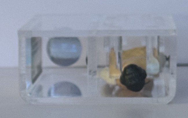 Princess Leia Organa (Hoth Outfit) sold