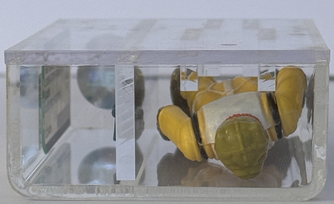 Bossk (Bounty Hunter) sold