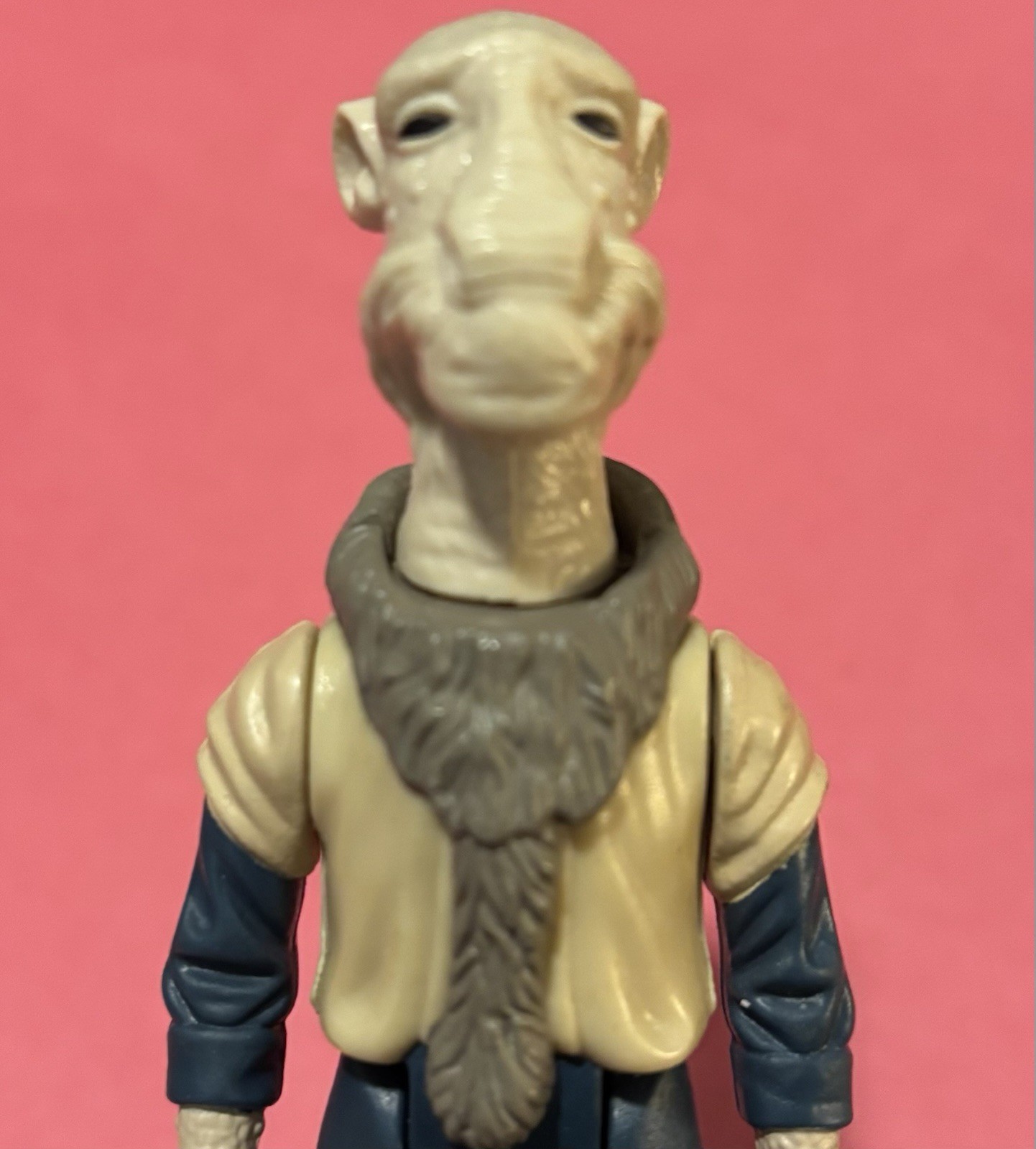 Yak Face sold
