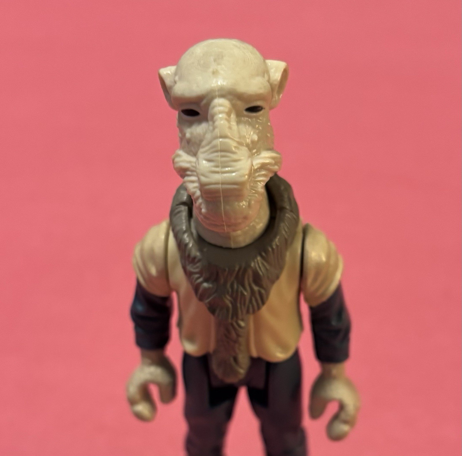Yak Face sold