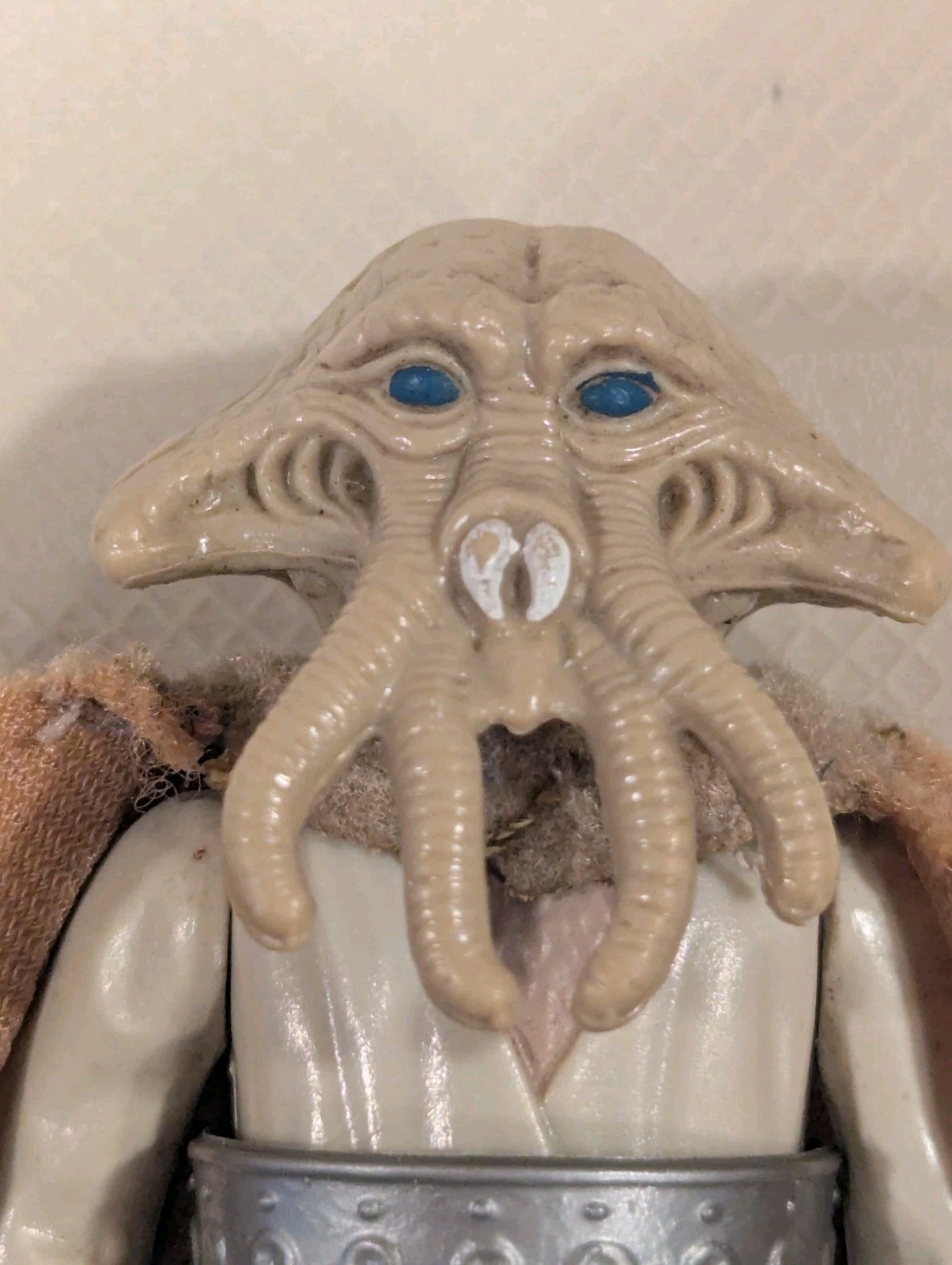 Squid Head sold