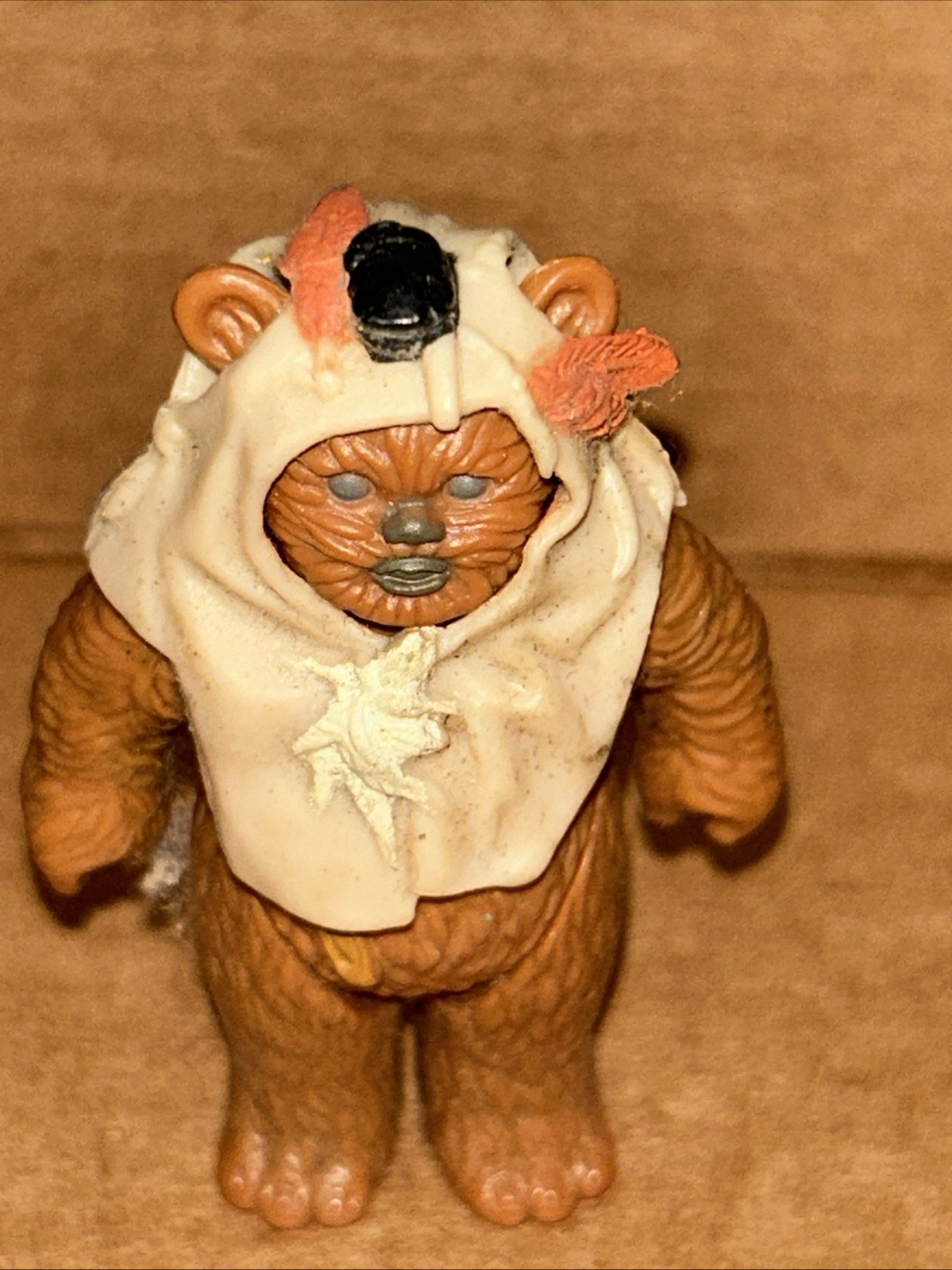 Paploo sold