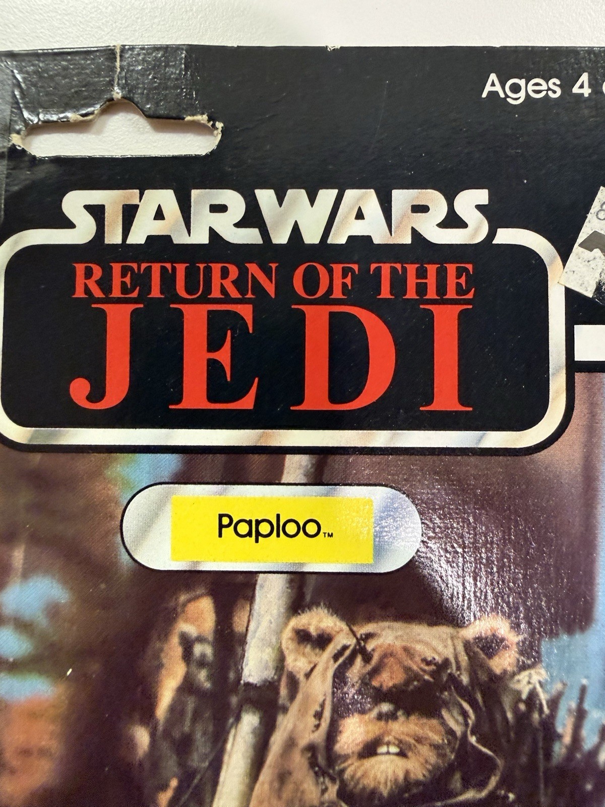 Paploo sold