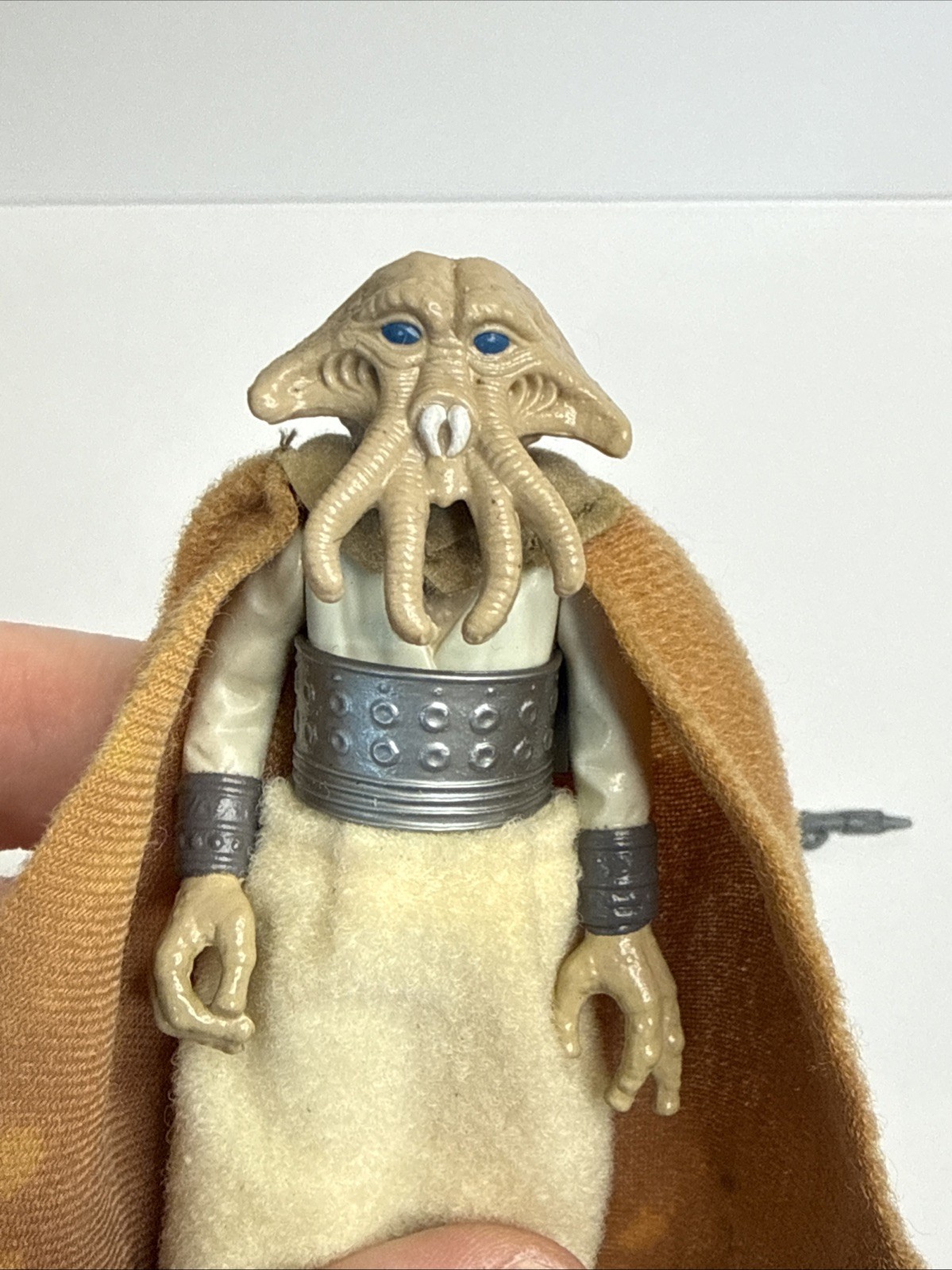 Squid Head sold